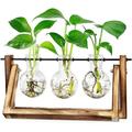 Hydroponic Vase Hanging Vase - Decorative Wooden Holder With Hydroponic Glass Vase Desktop Plant Terrarium Creative Glass Transparent Vase For Hydroponic Plants