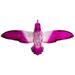 Colorful 6 Inch Hummingbird Ornament/Sun-catcher (Fuschia/Pink)