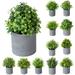 Vnanda Mini Artificial Plants Fake Plants Faux Green Bonsai Potted Faux Green Grass Fake Grass Plant Topiary Shrubs with Pots for House Farmhouse Bathroom Office Home Decor