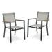 Greemotion Mackay 2-Piece Outdoor Patio Metal Gray Frame Chairs with Teak Accent