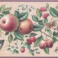 Concord Wallcoverings Wallpaper Border Garden Pattern Vine Fruits Flowers Apples Pears Strawberries Leaves Beige Yellow Red Purple Green 7 Inches by 15 Feet UL105043