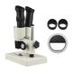 40X Magnification Stereo Light Microscope Compound Binocular Microscope for Home School Laboratory Biological Education Machine Parts Texting Students Kids Adults