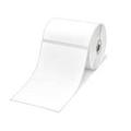 Brother RD-S02E1 Etikettes white 102mm x 152mm for Brother...