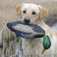 Jouet pare-chocs de canard pour l'entraînement des chiens de chasse l'oiseau DUNITeaches le canard