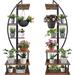 17 Stories Amonette Free Form Multi-tiered Plant Stand Wood/Metal/Manufactured Wood in Black/Brown | 65 H x 20 W x 12 D in | Wayfair