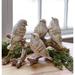 The Holiday Aisle® Birds on Branch Set of 2 11"Lx6.5"H Polyresin Resin in Brown | 6.5 H x 11 W in | Wayfair B367E1E992B94C4BB06F599A481A5C70