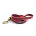 Dean & Tyler All Weather Stronghold Dog Leash for Maximum Grip Rad Red