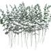 12/24pcs Artificial Eucalyptus Stems Fake Eucalyptus Leaves Bulk Real Touch Artificial Greenery for Wedding Home Farmhouse Party Decoration