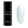 NEONAIL - COLOR ME UP Collektion Smalti 7.2 ml Bianco unisex