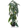 Alocasia artificiel 75 cm en pot Emerald Vert