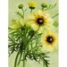 Rosalind Wheeler Moody Daisies - Wrapped Canvas Print Metal | 40 H x 30 W x 1.25 D in | Wayfair D3B090D25943484D92564F925BD6657B