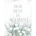 Trinx Our Nest Is Blessed - Wrapped Canvas Textual Art Canvas in White | 48 H x 36 W x 1.25 D in | Wayfair 63359CDF12234DC0B97726B68EFB5A87