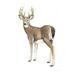 Loon Peak® Wilderness Collection Deer II - Wrapped Canvas Painting Canvas | 16 H x 12 W x 1.25 D in | Wayfair 3BD41FC19DC44EE3A09D45D7CD80C7DE