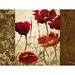 Wildon Home® It Is Almost a Poppy - Wrapped Canvas Print Metal in Brown/Red/White | 24 H x 32 W x 1.25 D in | Wayfair