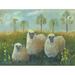 Rosalind Wheeler Three Sheep by Pam Britton - Wrapped Canvas Painting Canvas in White | 36 H x 48 W x 1.25 D in | Wayfair