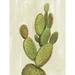 Foundry Select Front Yard Cactus I Crop by Silvia Vassileva - Wrapped Canvas Print Metal | 40 H x 30 W x 1.25 D in | Wayfair