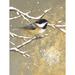 Wildon Home® Winter Birds Chickadee Color by Beth Grove - Wrapped Canvas Print Canvas | 24 H x 18 W x 1.25 D in | Wayfair
