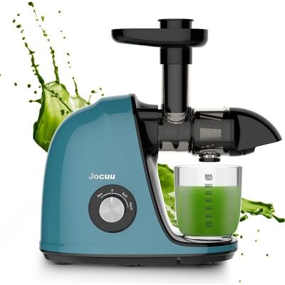 Slow Masticating Juicer with Soft/Hard Modes Easy to Clean Quiet Motor & Reverse Function, Cold Press Juicer for Fruit