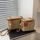Mini sac à bandoulière en paille pour femmes tissage d'été sacs à main et bourses de marque mode