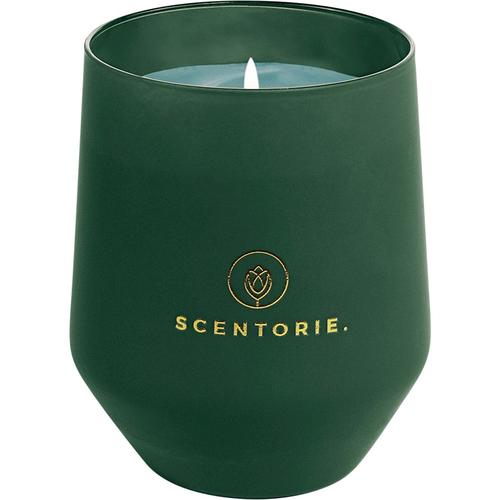 Scentorie – Duftkerzen Duftkerze Winter Walk – Green Kerzen 300 g