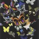 Christian Lacroix Wallpaper Butterfly Parade PCL008/02