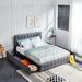 Latitude Run® Tufted Storage Platform Bed Upholstered/Metal & Upholstered/Metal in Gray | 43.4 H x 82.3 W x 61.9 D in | Wayfair