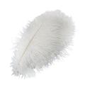 JFBUCF 20 Pcs Natural White Ostrich Feathers, 45-50cm DIY Craft Feather for Wedding Centerpieces Flower Arrangement Christmas New Year Decoration