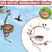 NGTEVOOS Clearance Special Offers Courtyard bird feeder Red Berries Hummingbird Feeder Red One Size