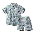 TAIAOJING Toddler Baby Boy Clothes Shorts Set Boys Tropical Print Shirt Beach Pants Children s Clothing Seaside Travel Children s Set 2-3 Years