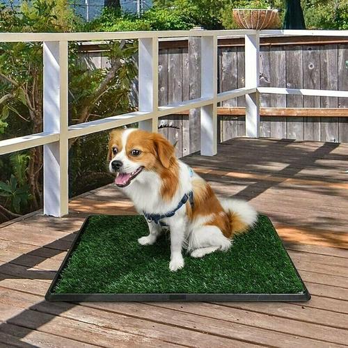 Hunde Rasentoilette Hundetoilette Hundetöpfchen Hundetoilette Waschbar Welpentöpfchen