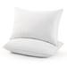 Alwyn Home Forbestown Down & Feathers Medium Support Pillow Down & Feathers/100% Cotton in White | 20 H x 36 W x 5 D in | Wayfair