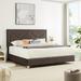 Everly Quinn King Platform Bed Wood & /Upholstered/Velvet in Brown | 55.12 H x 81.69 W x 87.4 D in | Wayfair 65E3E013D76B4BB5BF130CBAD961E8E4