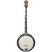 Gold Tone OB-250AT Professional Archtop Bluegrass Banjo Vintage Brown