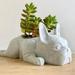 Kokovifyves Home Items Clearance Sale Resin Dog Succulent Planter Mini Puppy Plant Planter French Shape Cute Bonsai Flower Pots for Home Garden office Desktop Decor (No Plants) White