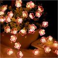 Pink Flower String Lights Battery Operated 10FT 30 LED 3d Cherry Blossom Fairy Lights Decorations for Girls Kids Bedroom Indoor Outdoor Wedding Birthday Party Wall Decor