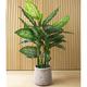 Plantificial 4ft Dieffenbachia Plant, Artificial Plants Indoor, Fake Dieffenbachia Plants, Faux House Plants For Home Decor Office Decoration - Dieffenbachia, 60W x 120H cm