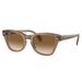 Ray-Ban RB0707S Sunglasses Transparent Light Brown Frame Clear Gradient Brown Lens 50 RB0707S-664051-50