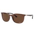 Ray-Ban RB4386F Sunglasses Transparent Brown Frame Polarized Brown Lens Asian Fit 55 RB4386F-6652AN-55