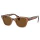 Ray-Ban RB0880S Sunglasses Transparent Brown Frame Brown Polarized Lens 49 RB0880S-664057-49