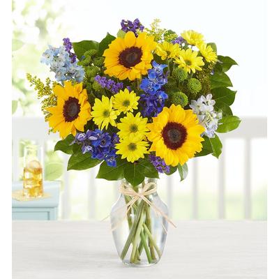 1-800-Flowers Seasonal Gift Delivery Fields Of Europe Summer Large