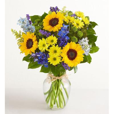 1-800-Flowers Seasonal Gift Delivery Fields Of Europe Summer Large