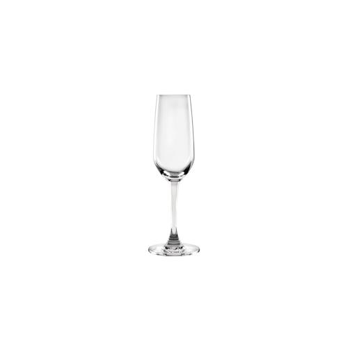 6 Olympia Mendoza Champagnergläser 18,5cl – Gläserspülmaschinengeeignet
