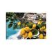 East Urban Home 'Close Up View of a Lemon Tree w/ Fruit' - Print Canvas, Wood in Blue/Green | 18 H x 26 W x 1.5 D in | Wayfair