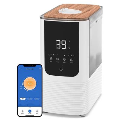 Intelligent cold and warm fog humidifier