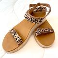 Madewell Shoes | Madewell Maggie Sandal Animal Print Calf Hair Size 9 Adjustable Straps | Color: Black/Tan | Size: 9