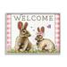 Stupell Industries Welcome Plaid Spring Garden Rabbits by Elizabeth Tyndall - Floater Frame Graphic Art on in Brown | Wayfair au-025_gff_24x30
