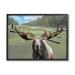 Stupell Industries Funny Golf Clubs Moose Antlers Gray Framed Giclee Art By Elizabeth Medley Wood in Brown/Green | 16 H x 20 W x 1.5 D in | Wayfair