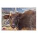 Stupell Industries Longhorn Cattle Rural Mountains - Graphic Art Wood in Brown | 10 H x 15 W x 0.5 D in | Wayfair au-338_wd_10x15