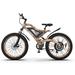 1500W Electric Bike with 48V 15AH Removable Lithium Battery