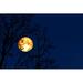 Ebern Designs Full Moon by Chayanan - Wrapped Canvas Photograph Canvas in Blue/Yellow | 12 H x 18 W x 1.25 D in | Wayfair